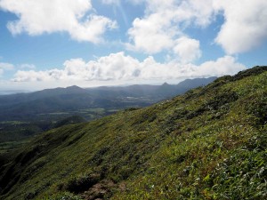 View from the lower reaches of Mt. Pele