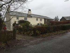 Low House - Home for February