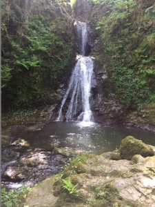 Pretty waterfall - IOM's biggest.