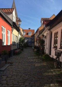 Pretty street in Aarlborg